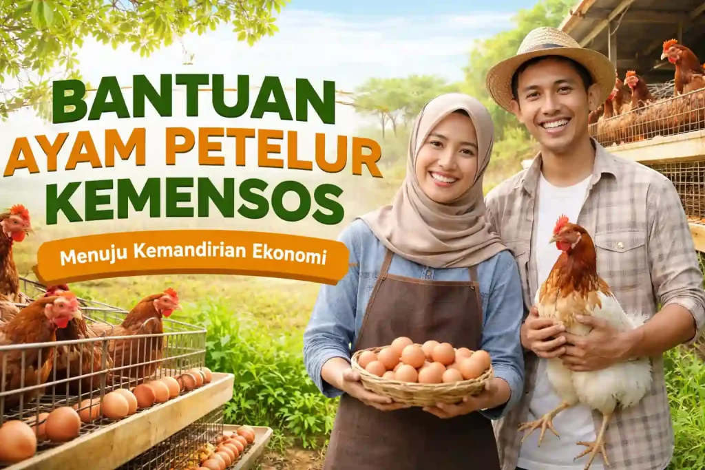 Bantuan Ayam Petelur Kemensos